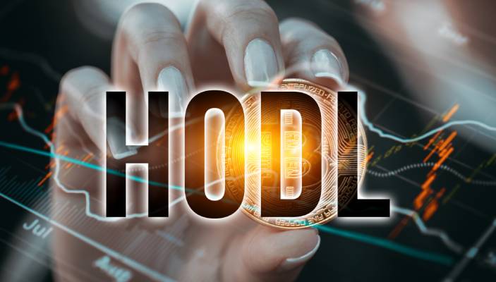 HODL 模因如何揭示比特币的真相